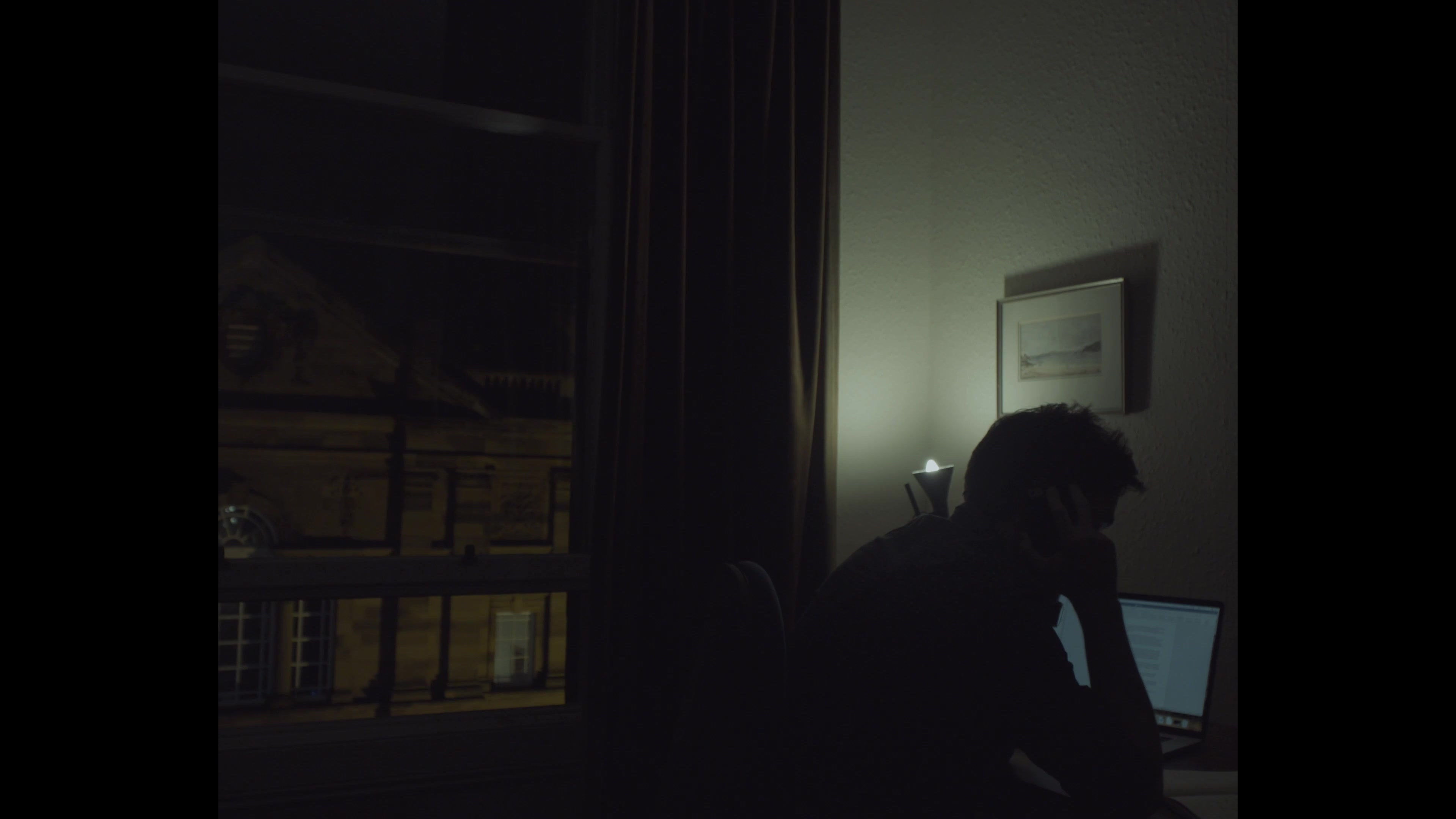 --DOWN THE RABBIT HOLE--